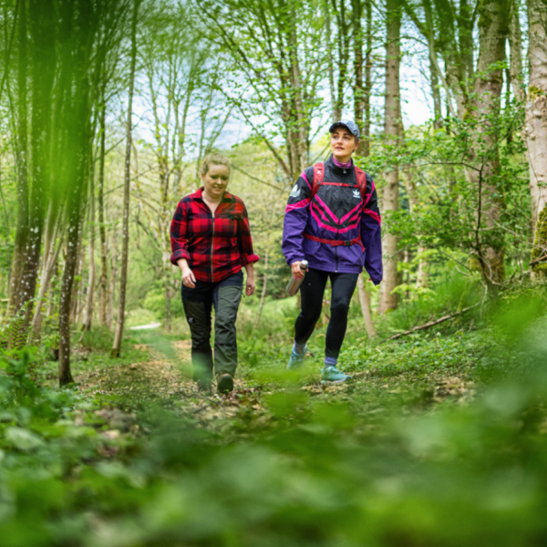 to venner der går i en skov