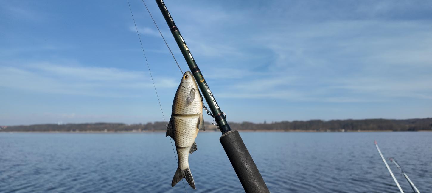 Fiskestang