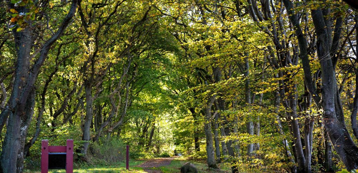 Skilt på vandre rute i Skanderborg området