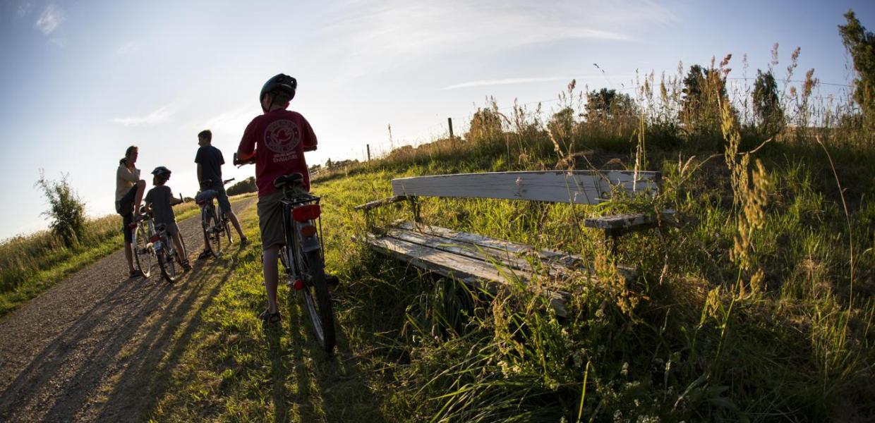 to personer der cykler i skoven