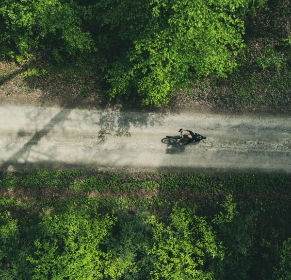 MTB