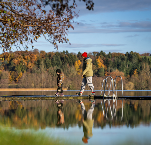 Efterår i naturen Danmarks Smukkeste