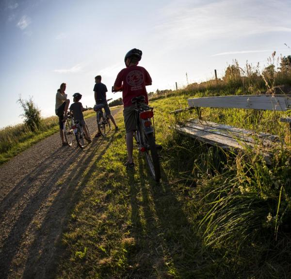 to personer der cykler i skoven