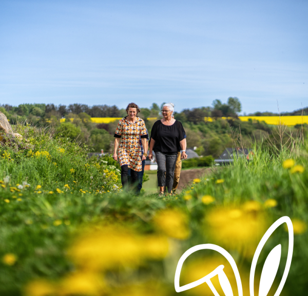 to damer der går tur i forår natur