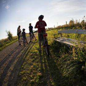 to personer der cykler i skoven