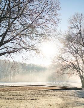 Vinter