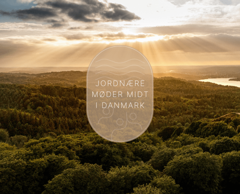 møde